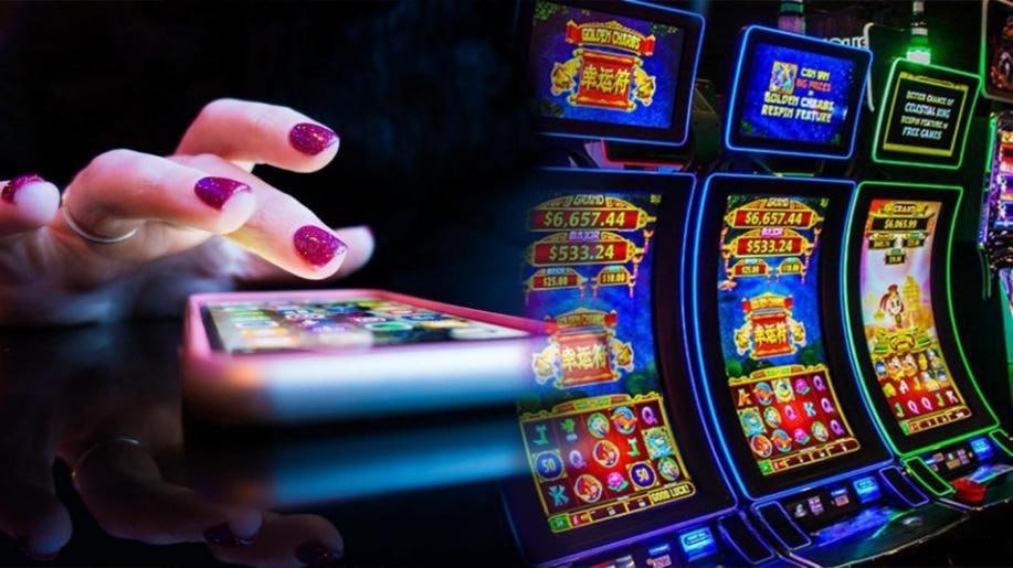 baazi casino